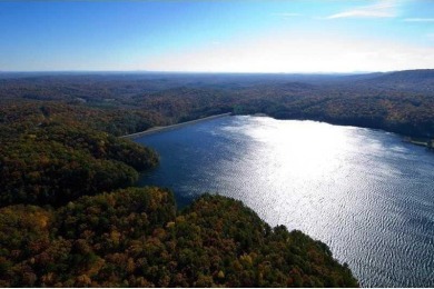 DEEP WATER LAKEFRONT! 210' of Lake Frontage and DOCK! Build Your on The Highlands Course at Lake Arrowhead in Georgia - for sale on GolfHomes.com, golf home, golf lot