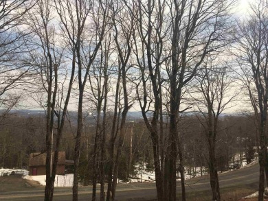 Double lot on top of the Hill! Recent soil tests say this looks on Hermitage Club Golf Course in Vermont - for sale on GolfHomes.com, golf home, golf lot