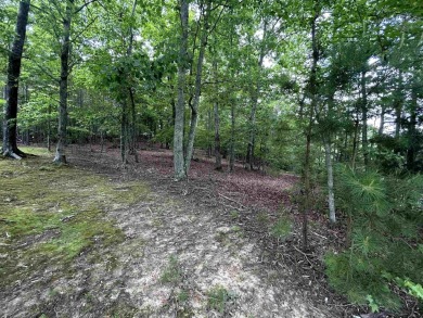Great Building Lot in the Prestigious Gated Community of Shiloh on Shiloh Falls Golf Club in Tennessee - for sale on GolfHomes.com, golf home, golf lot