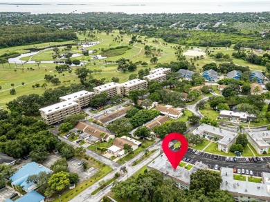 Rarely Available Ground-Floor Condo in Vibrant 55+ Green Dolphin on Tarpon Springs Golf Course in Florida - for sale on GolfHomes.com, golf home, golf lot