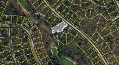 OVERSIZED GOLF FRONT LOT NESTLED BETWEEN HOLE #14 AND #15 ON on Dorchester Country Club in Tennessee - for sale on GolfHomes.com, golf home, golf lot
