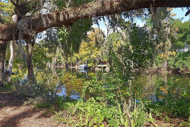 One or more photos have been virtually staged. Opportunity on Temple Terrace Golf and Country Club in Florida - for sale on GolfHomes.com, golf home, golf lot