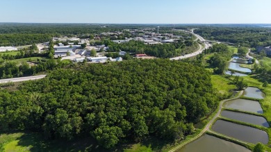 This expansive 165 +/- acre property offers a rare blend of on Sycamore Creek Golf Club in Missouri - for sale on GolfHomes.com, golf home, golf lot