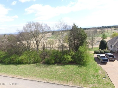 Great level Golf front lot w/ Nice mountain views too! Perfect on Rarity Bay Country Club - Loudon in Tennessee - for sale on GolfHomes.com, golf home, golf lot