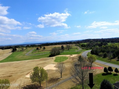 Great level Golf front lot w/ Nice mountain views too! Perfect on Rarity Bay Country Club - Loudon in Tennessee - for sale on GolfHomes.com, golf home, golf lot
