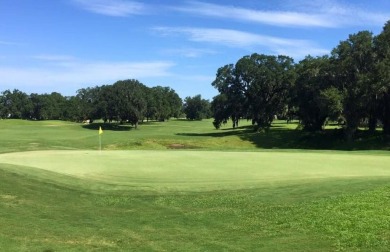 Welcome to this beautifully designed home in the highly on Southwood Golf Club in Florida - for sale on GolfHomes.com, golf home, golf lot