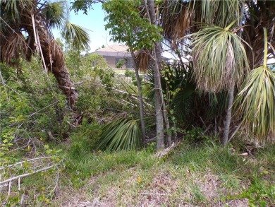 This WATERFRONT lot is on a quiet street that would be a great on Rotonda Golf and Country Club - Long Marsh  in Florida - for sale on GolfHomes.com, golf home, golf lot