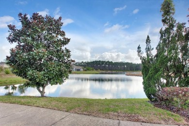 A one of a kind (DUAL-GEN) pool home in Amelia Walk, Julington on Golf Club At North Hampton in Florida - for sale on GolfHomes.com, golf home, golf lot