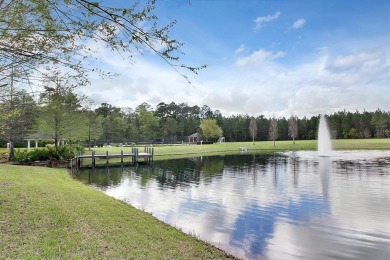 A one of a kind (DUAL-GEN) pool home in Amelia Walk, Julington on Golf Club At North Hampton in Florida - for sale on GolfHomes.com, golf home, golf lot