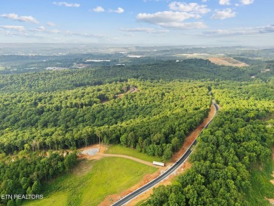Discover one of the highest points in Tennessee National!  This on Tennessee National Golf Club in Tennessee - for sale on GolfHomes.com, golf home, golf lot
