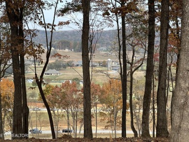 Discover one of the highest points in Tennessee National!  This on Tennessee National Golf Club in Tennessee - for sale on GolfHomes.com, golf home, golf lot