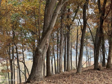 Discover one of the highest points in Tennessee National!  This on Tennessee National Golf Club in Tennessee - for sale on GolfHomes.com, golf home, golf lot