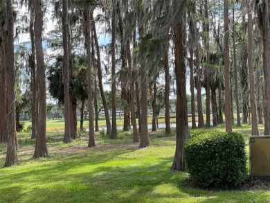 INCREDIBLE, PRIVATE  BEAUTIFUL VIEW on the 1st Floor, in the on Innisbrook Resort and Golf Club in Florida - for sale on GolfHomes.com, golf home, golf lot