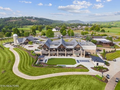 Discover one of the highest points in Tennessee National!  This on Tennessee National Golf Club in Tennessee - for sale on GolfHomes.com, golf home, golf lot