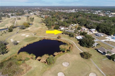 Welcome to your tranquil retreat-where world-class fishing on Plantation Inn and Golf Resort  in Florida - for sale on GolfHomes.com, golf home, golf lot