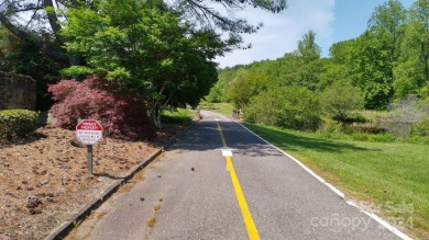 Discover your dream estate on two adjacent lots in Pine Mountain on Pine Mountain Golf Course in North Carolina - for sale on GolfHomes.com, golf home, golf lot