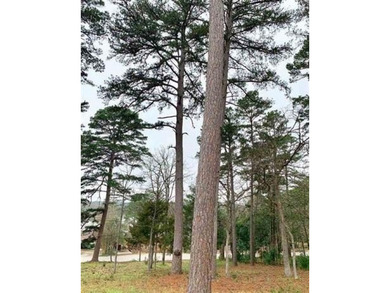 Bring your house plans! One of the very few remaining waterview on Hide-A-Way Lake Golf Course in Texas - for sale on GolfHomes.com, golf home, golf lot