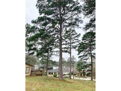 Bring your house plans! One of the very few remaining waterview on Hide-A-Way Lake Golf Course in Texas - for sale on GolfHomes.com, golf home, golf lot