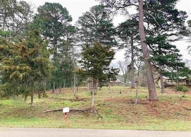 Bring your house plans! One of the very few remaining waterview on Hide-A-Way Lake Golf Course in Texas - for sale on GolfHomes.com, golf home, golf lot