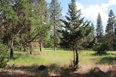 GOLF COURSE LOCATION.  Property is located on a popular on Running Y Ranch Resort in Oregon - for sale on GolfHomes.com, golf home, golf lot