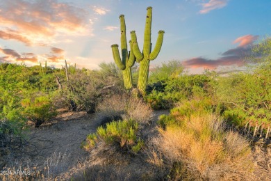 FULL GOLF MEMBERSHIP AVAILABLE!
Tucked away in a private on Desert Mountain Golf Club - Renegade Course in Arizona - for sale on GolfHomes.com, golf home, golf lot