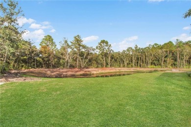 Your spectacular private low country estate on three acres is on Sapelo Hammock Golf Club in Georgia - for sale on GolfHomes.com, golf home, golf lot