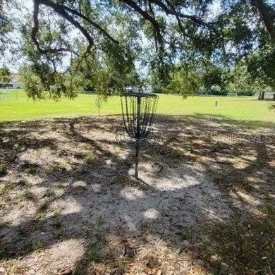 Nestled in the highly sought-after Buckhorn Preserve Community on Buckhorn Springs Golf and Country Club in Florida - for sale on GolfHomes.com, golf home, golf lot