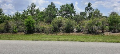 Come build your forever home on this one-half acre lot located on Indian Lake Estates Golf and Country Club in Florida - for sale on GolfHomes.com, golf home, golf lot