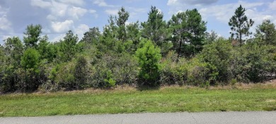 Come build your forever home on this one-half acre lot located on Indian Lake Estates Golf and Country Club in Florida - for sale on GolfHomes.com, golf home, golf lot