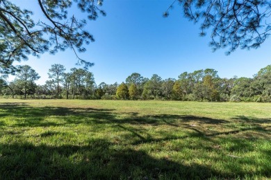 Welcome to this beautifully updated 4-bedroom, 2-bathroom home on Pebble Creek Golf Club in Florida - for sale on GolfHomes.com, golf home, golf lot