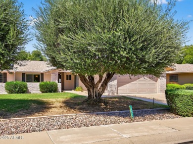 Almost like living on the golf course with Lush Grass front & on Pebblebrook Golf Course in Arizona - for sale on GolfHomes.com, golf home, golf lot