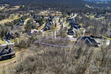 Beautiful panoramic city skyline and mountain views abound from on Landmark Golf Club At Avalon in Tennessee - for sale on GolfHomes.com, golf home, golf lot