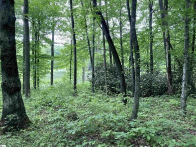Nestled in the mountains just minutes from Greenville, SC, make on The Cliffs Valley Golf Course in South Carolina - for sale on GolfHomes.com, golf home, golf lot