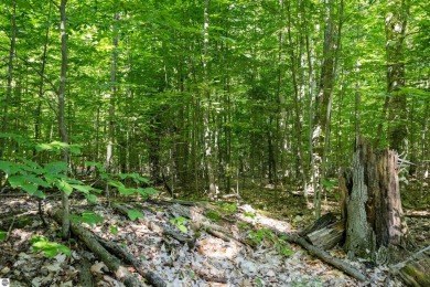 Tucked into the heart of Leelanau County, this beautifully treed on Manitou Passage Golf Club in Michigan - for sale on GolfHomes.com, golf home, golf lot