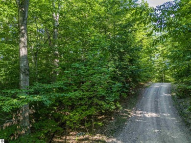 Tucked into the heart of Leelanau County, this beautifully treed on Manitou Passage Golf Club in Michigan - for sale on GolfHomes.com, golf home, golf lot