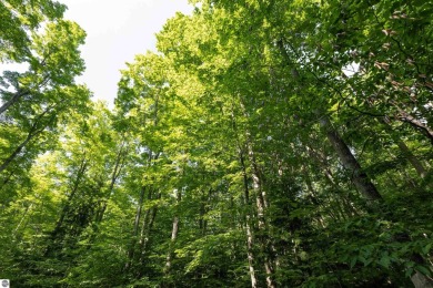 Tucked into the heart of Leelanau County, this beautifully treed on Manitou Passage Golf Club in Michigan - for sale on GolfHomes.com, golf home, golf lot