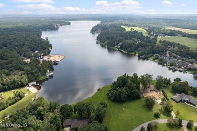 This golf course frontage lot in Canebrake is surrounded by on Canebrake Country Club in Mississippi - for sale on GolfHomes.com, golf home, golf lot