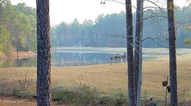 HOME WARRANTY INCLUDED!  PRE LISTING INSPECTION (March '25) on Harbour Point Golf Club in North Carolina - for sale on GolfHomes.com, golf home, golf lot