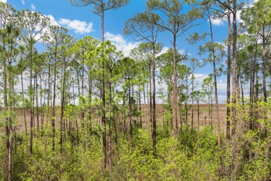 Second-floor bayfront condo with elevated positioning that on Sandestin Golf and Beach Resort - Raven in Florida - for sale on GolfHomes.com, golf home, golf lot