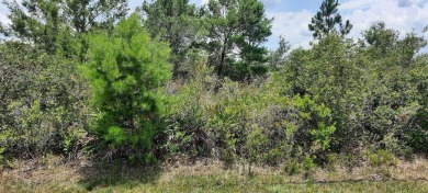 Come build your forever home on this one-half acre lot that on Indian Lake Estates Golf and Country Club in Florida - for sale on GolfHomes.com, golf home, golf lot