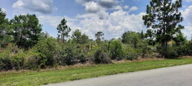 Come build your forever home on this one-half acre lot that on Indian Lake Estates Golf and Country Club in Florida - for sale on GolfHomes.com, golf home, golf lot