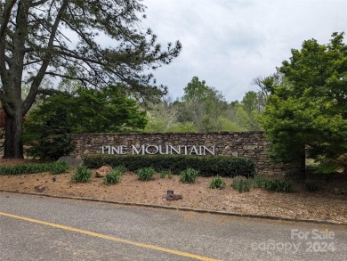 Discover your dream estate on two adjacent lots in Pine Mountain on Pine Mountain Golf Course in North Carolina - for sale on GolfHomes.com, golf home, golf lot