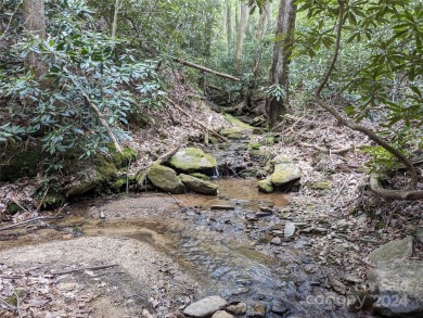 Discover your dream estate on two adjacent lots in Pine Mountain on Pine Mountain Golf Course in North Carolina - for sale on GolfHomes.com, golf home, golf lot