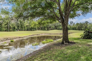 Highly sought after and well-maintained home in The Pinnacle on East Lake Woodlands Country Club in Florida - for sale on GolfHomes.com, golf home, golf lot