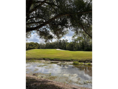 Highly sought after and well-maintained home in The Pinnacle on East Lake Woodlands Country Club in Florida - for sale on GolfHomes.com, golf home, golf lot
