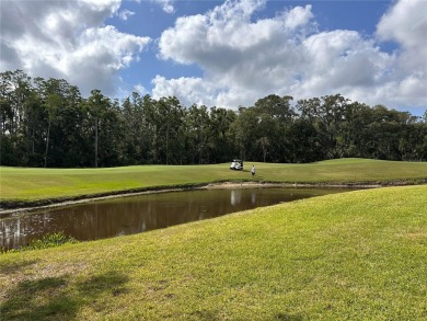 Highly sought after and well-maintained home in The Pinnacle on East Lake Woodlands Country Club in Florida - for sale on GolfHomes.com, golf home, golf lot