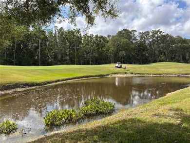 Highly sought after and well-maintained home in The Pinnacle on East Lake Woodlands Country Club in Florida - for sale on GolfHomes.com, golf home, golf lot