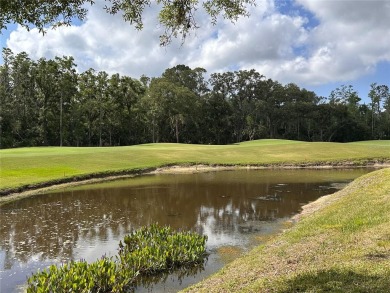 Highly sought after and well-maintained home in The Pinnacle on East Lake Woodlands Country Club in Florida - for sale on GolfHomes.com, golf home, golf lot
