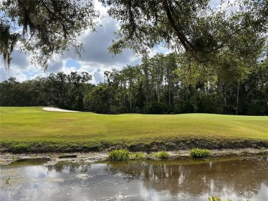 Highly sought after and well-maintained home in The Pinnacle on East Lake Woodlands Country Club in Florida - for sale on GolfHomes.com, golf home, golf lot