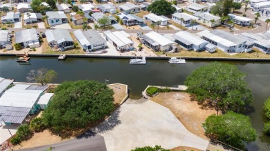 Welcome to 209 N Saint Thomas Circle, a beautifully appointed on Apollo Beach Golf and Sea Club in Florida - for sale on GolfHomes.com, golf home, golf lot